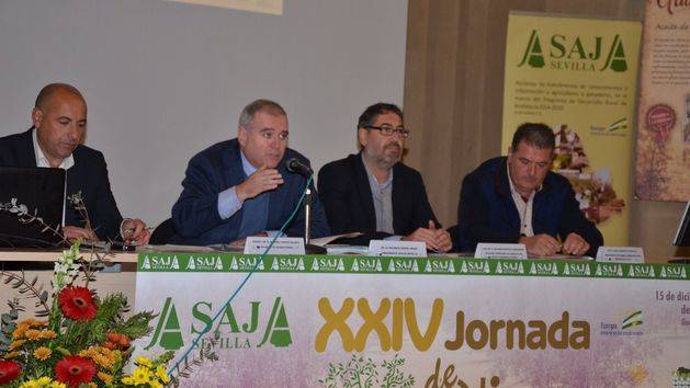 Asaja-Sevilla destaca que la previsión de una campaña corta eleva los precios del aceite al inicio de la recolección