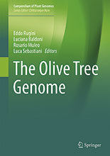 Acerca de la genética y genómica del olivo
