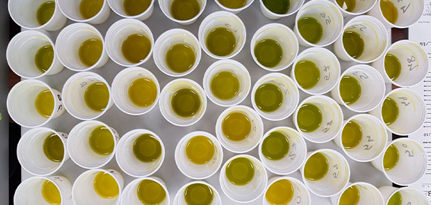 Parqueoliva Serie Oro, reconocido por Monocultivar Olive Oil como 'Best of the World'
