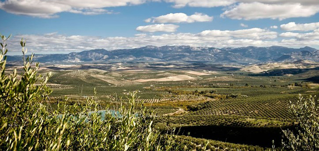 Nace un proyecto para promover la adopción de prácticas de agricultura regenerativa