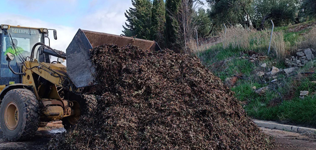 Investigadores de la UGR trabajan en un proyecto que mejora el aprovechamiento del olivar para conseguir abono natural