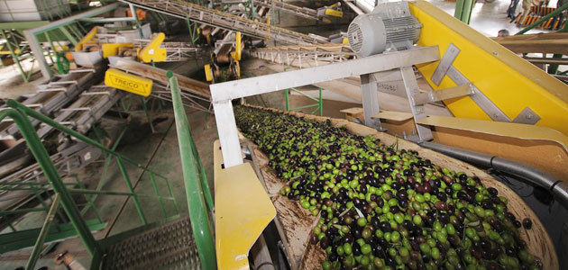 Promoción máquinas para fabricar aceituna de oliva, máquinas para fabricar  aceituna de oliva a la venta, máquinas para fabricar aceituna de oliva  promocional