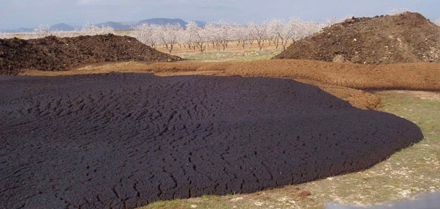 Un innovador tratamiento con hongos y metales para biodegradar residuos de la producción de aceite de oliva