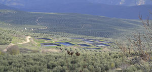 Aprovechamiento energético de subproductos del olivar