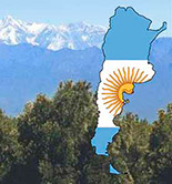 Dos proyectos de ley argentinos buscan reactivar la olivicultura del país