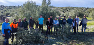 Formación especializada en poda del olivar