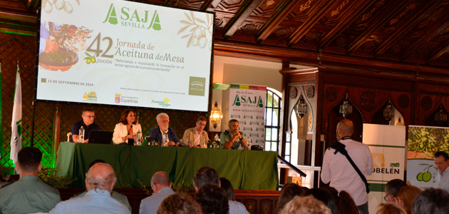 Jornada de Aceituna de Mesa de Asaja-Sevilla: 'La alta demanda dispara las cotizaciones en el arranque de campaña'