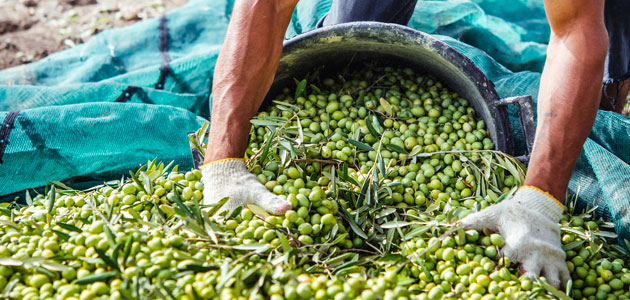 Nueva edición del programa 'StartBEC' para empresas emergentes en el ámbito de la bioeconomía agroalimentaria