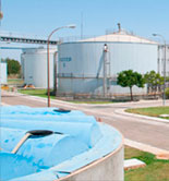 Investigadores de la Universidad de Cádiz transforman los residuos de la aceituna de mesa en biogás