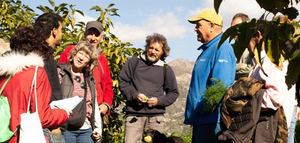 Un nuevo espacio web permitirá mejorar la trazabilidad alimentaria del sector agroecológico