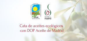 Madrid celebra una cata de aceites de oliva vírgenes extra ecológicos con DOP Aceite de Madrid