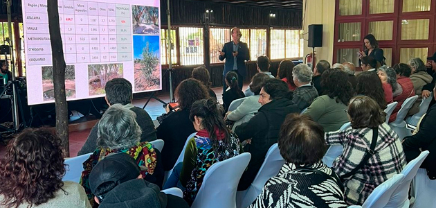 Los últimos avances en torno a la olivicultura, a debate en Chile