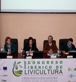 El I Congreso Ibérico de Olivicultura analiza los retos del olivar en una agricultura sostenible