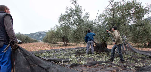 Castilla-La Mancha ofrece formación sobre el Cuaderno de Campo Digital y el Registro de Explotaciones Agrícolas