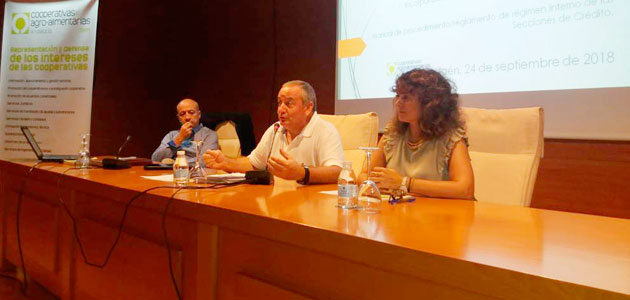 Cooperativas Agro-alimentarias de Jaén mejora las competencias de sus consejos rectores