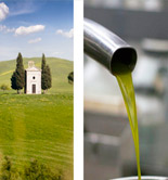 Olive Oil Sommelier Course, una actividad formativa para catadores y amantes del AOVE en la Toscana