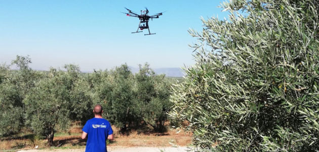 El grupo operativo 'Drones y Olivar' concluye el penúltimo vuelo en olivares