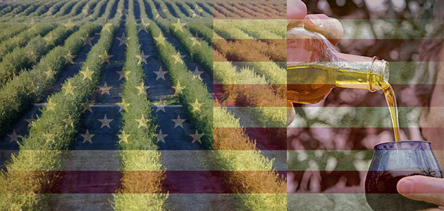 El PP pide a la CE que negocie con EEUU una moratoria para los aranceles al aceite de oliva y la aceituna de mesa