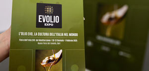 El potencial del oleoturismo, uno de los principales ejes de EVOLIO Expo