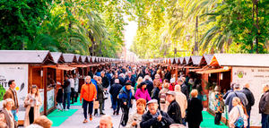 Andújar acogerá el 9 y el 10 de noviembre la XI Fiesta del Primer Aceite de Jaén