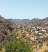 Gran Canaria convoca subvenciones para fomentar la calidad del AOVE