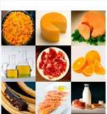 Nueva edición de la guía de alimentos 'Foods from Spain in China 2015'