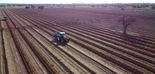 IFC AGRÍCOLA, expertos en ejecución de plantaciones de olivo y almendro en alta densidad