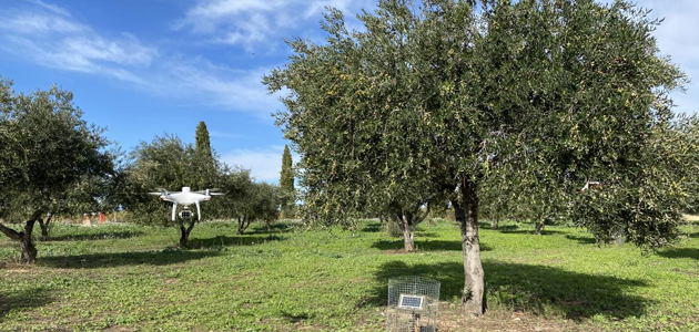 La Comunidad de Madrid incorpora drones e Inteligencia Artificial para mejorar el rendimiento de los cultivos