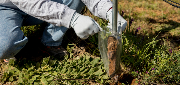 Avanzan en la introducción de técnicas agrícolas que mejoran la salud del suelo y la adaptación al cambio climático