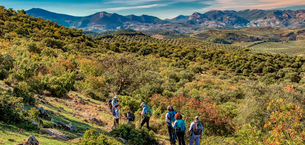 'A Jaén, a vivir experiencias': actividades turísticas para despertar tu espíritu viajero