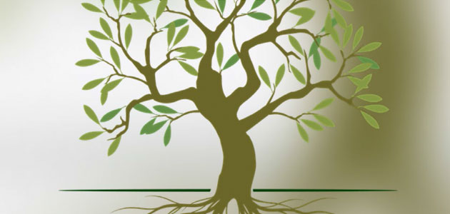 Un encuentro abordará la sostenibilidad y bioeconomía circular de la cadena de valor del olivo