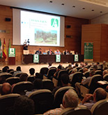 Asaja-Jaén insiste en la necesidad de reforzar los controles contra la Xylella fastidiosa