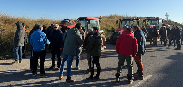 Kubota Insight Programme (KIP) 2025: mejora de la experiencia y satisfacción del cliente