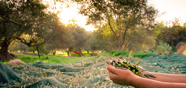 Pilares del diálogo estratégico sobre el futuro de la agricultura de la UE