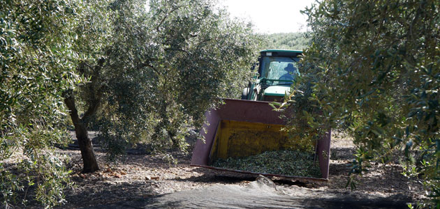 Andalucía amplía el plazo para solicitar las ayudas destinadas a modernizar la maquinaria y el equipamiento agrario