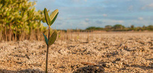 Asaja, COAG y Cooperativas Agro-alimentarias solicitan la convocatoria "urgente" de la Mesa de la Sequía