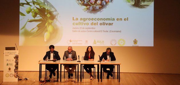 Nace 'Olis d'Alacant' para poner en valor el cultivo del olivar de Alicante