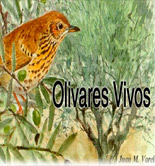Olivares Vivos, un proyecto para la certificación de olivares reconciliados con la biodiversidad