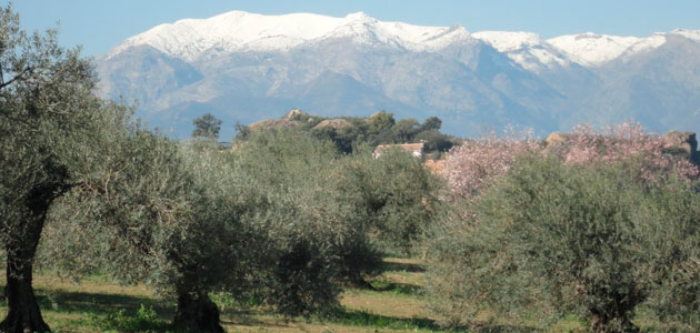 El Registro de Explotaciones Agrarias y Forestales de Andalucia establece su regulación y los procedimientos de inscripción