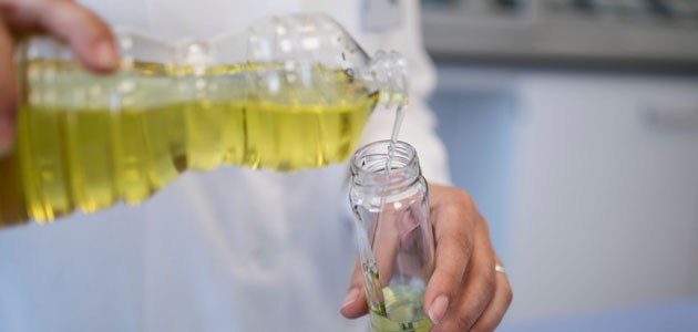 Seis investigaciones exploran los beneficios saludables y culinarios del aceite de orujo de oliva