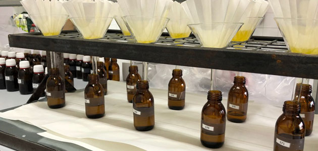 Desarrollan un método para determinar la estabilidad oxidativa y composición acídica del aceite de oliva de manera rápida y consistente