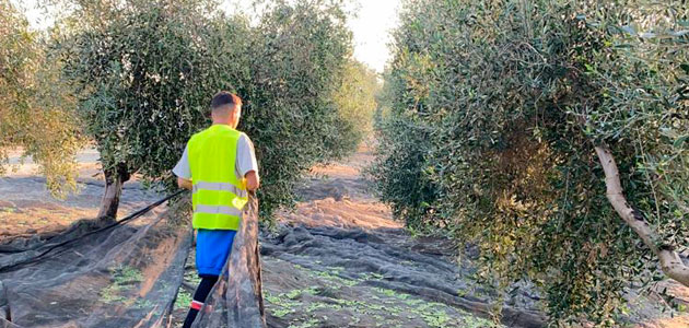 El MAPA inicia la consulta pública previa de la Ley de Agricultura Familiar