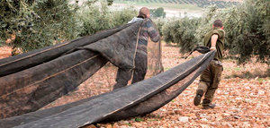 Castilla-La Mancha flexibiliza los eco-regímenes que afectan a los cultivos leñosos y a los espacios de biodiversidad