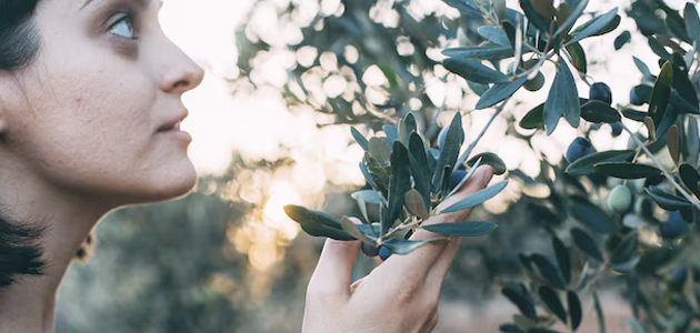 Productoras de AOVE, esencia de mujer: pasión, excelencia, tradición e innovación