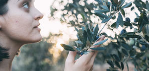 Productoras de AOVE, esencia de mujer: pasión, excelencia, tradición e innovación