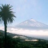 Tenerife premiará a los mejores AOVEs de Canarias