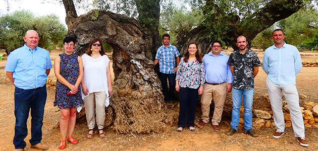 Eurodiputados españoles solicitan a la Comisión Europea la protección de los olivos milenarios del Territorio Sénia