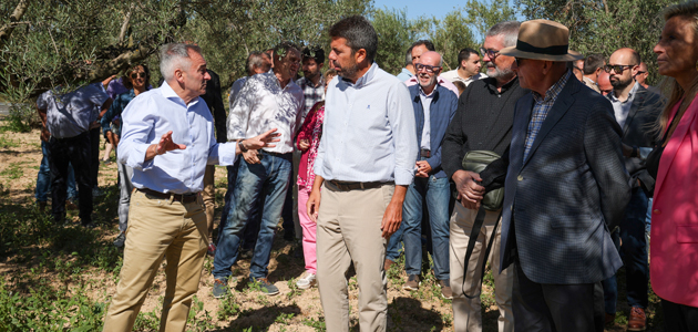 La Comunidad Valenciana lanza un plan de ayudas directas para paliar la sequía en sectores como el del olivar