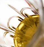 El alimento sano y natural más barato: el aceite de oliva virgen extra